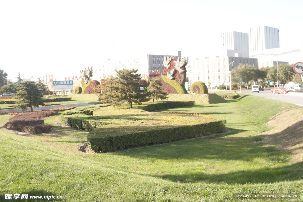 城市草坪