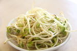 火锅 豆芽
