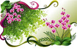 矢量蝴蝶兰鲜花