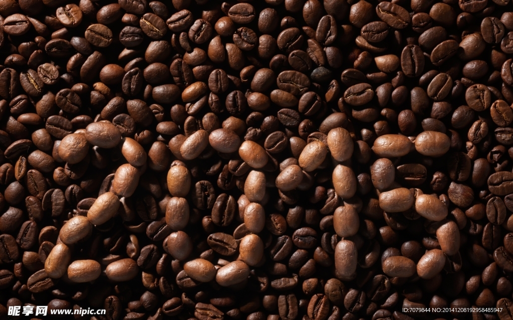 2015咖啡豆