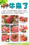 牛肉