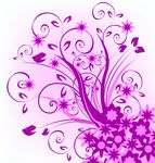 花纹