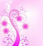 花纹