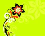 花纹