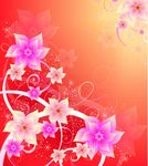 花纹
