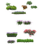 花草