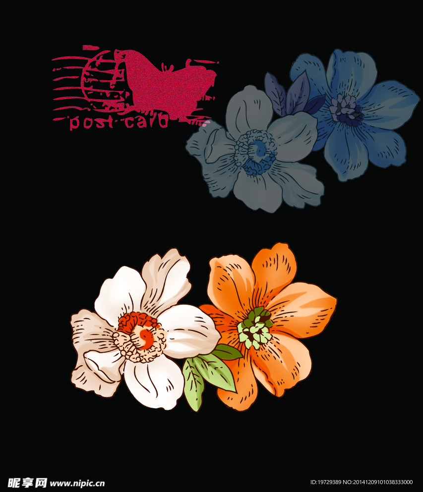 花纹