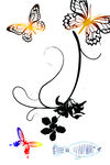 花纹