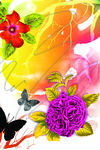 花纹