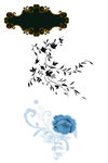 花纹