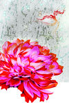 花纹