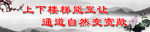 学校标语