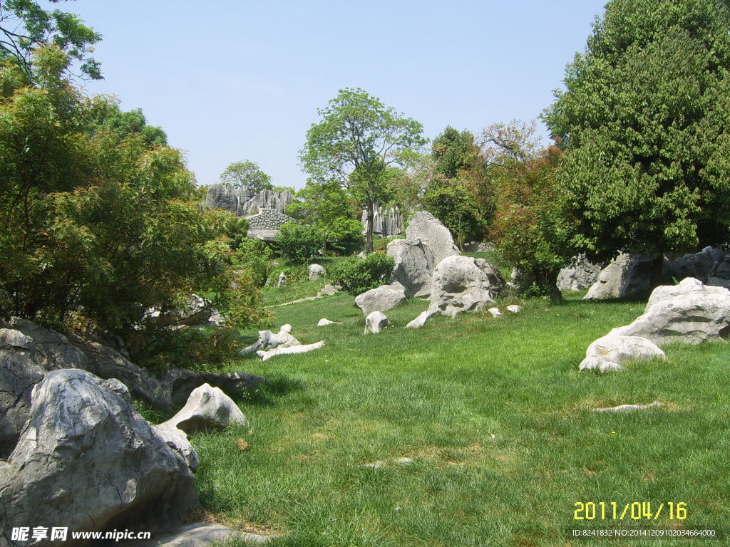石林风景