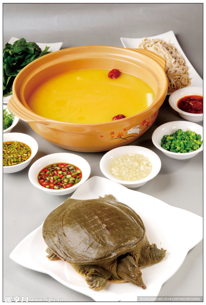 生汆野生甲鱼