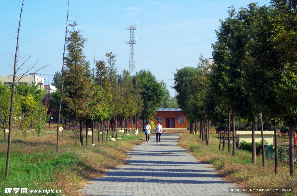 白鹿原塬上路