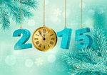 2015羊年