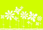 花纹