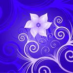花纹