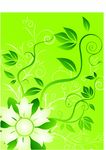 花纹