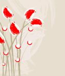 花纹