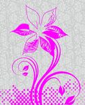 花纹