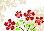 花纹
