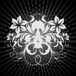 花纹