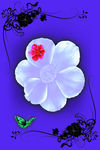 花纹