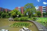 金华职院夏日风景