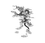 龙纹