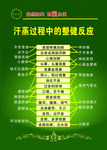 汗蒸过程的整健反应 分层源文件