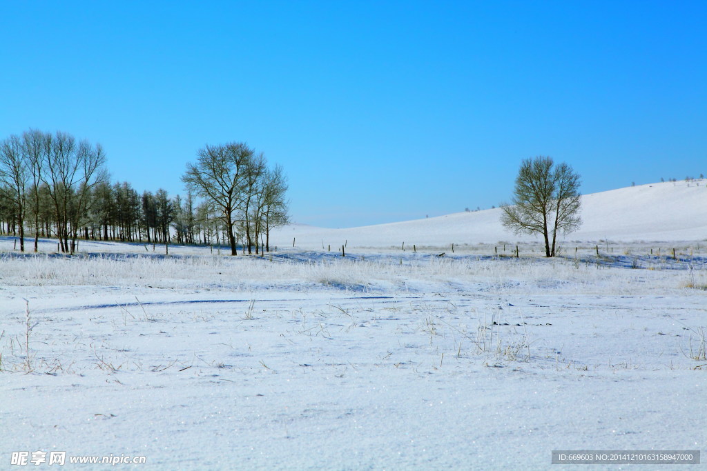 雪地风景