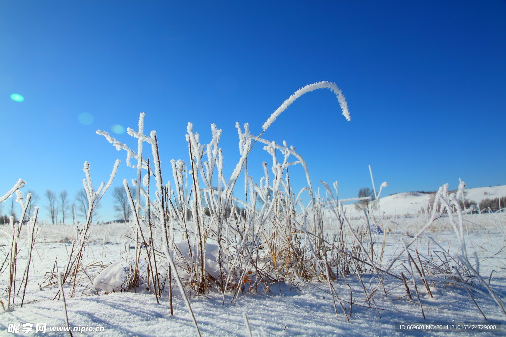 雪景