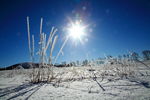 雪地阳光