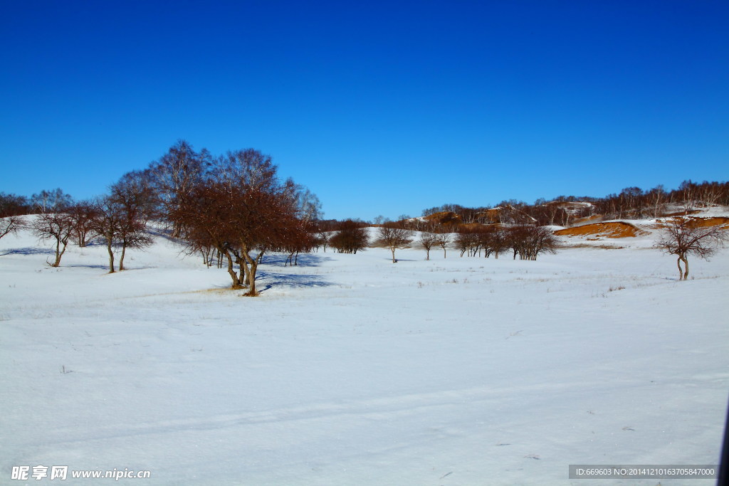 美丽的雪景内蒙