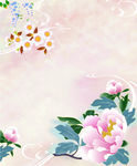 牡丹花