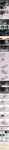 汽车产品描述