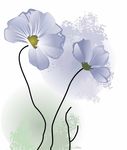 花纹