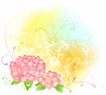绣球花
