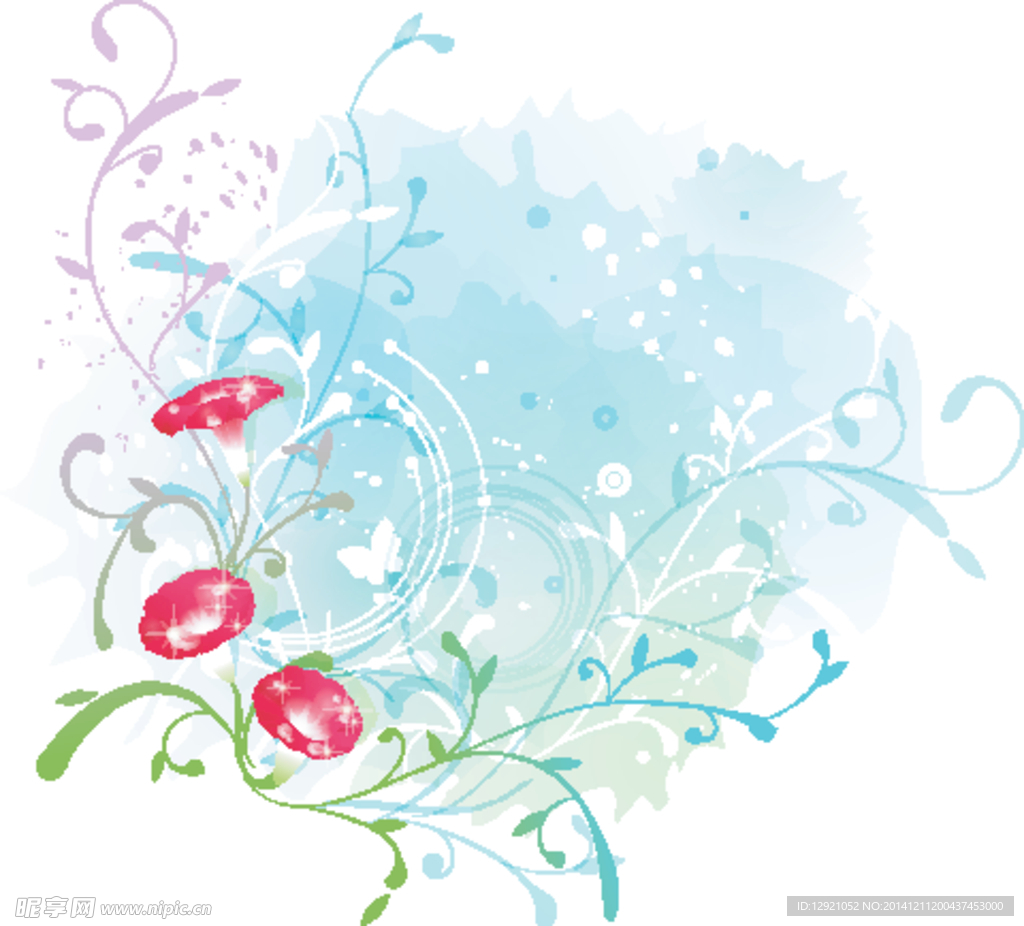 牵牛花