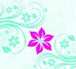 花纹
