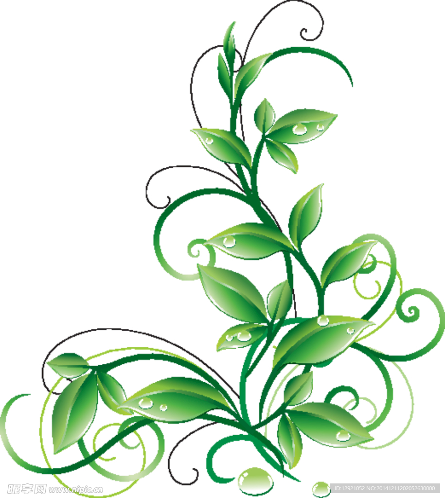 花纹