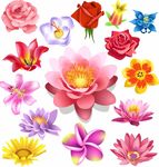 花纹