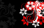 花纹