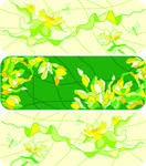 花纹