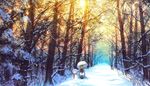雪林阳光