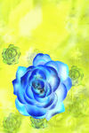 花纹
