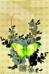 花纹