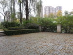 户外景观