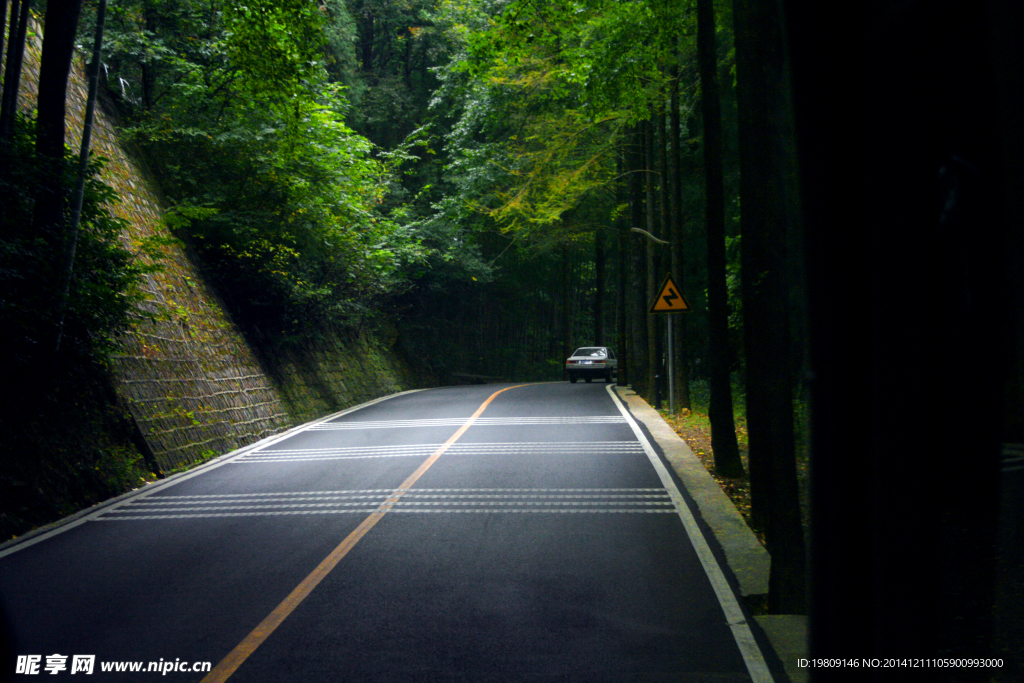 高清森林公路